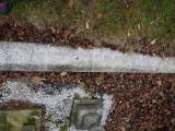 image of grave number 199208